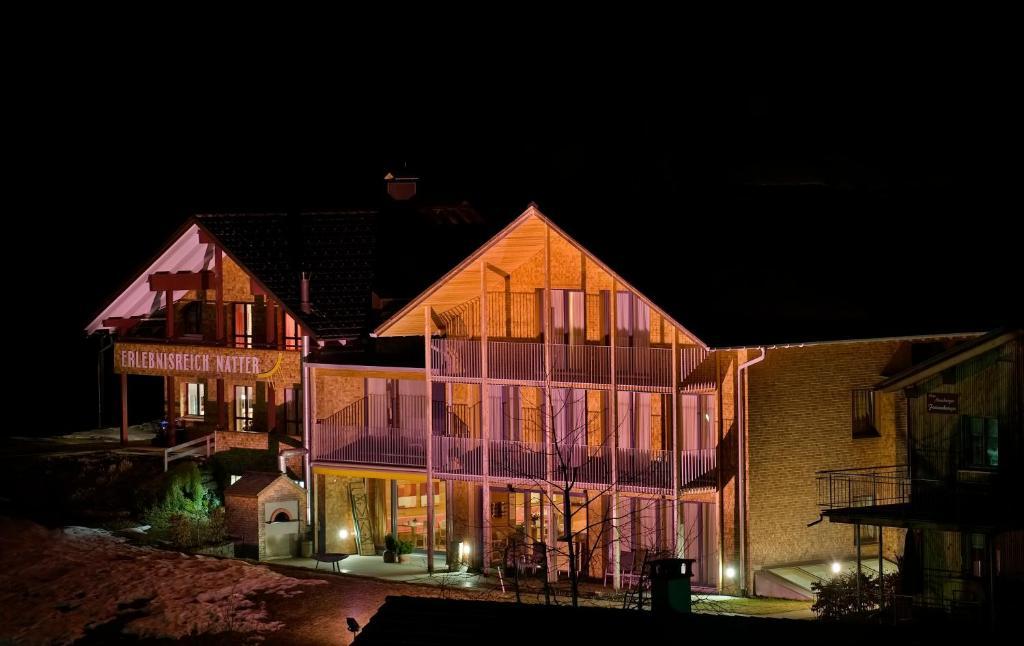 N Apartments Hotel Schoppernau Dış mekan fotoğraf